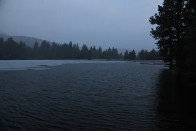 DSC_5819 (Large).JPG